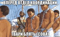 вперед отдел координации твари блять (сова)