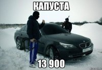 капуста 13 900