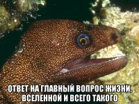  ответ на главный вопрос жизни, вселенной и всего такого