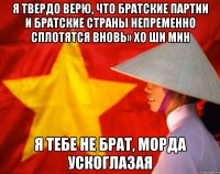 я твердо верю, что братские партии и братские страны непременно сплотятся вновь» хо ши мин я тебе не брат, морда ускоглазая