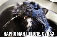  наркоман штоле, сука?