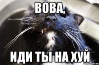 вова, иди ты на хуй