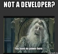 not a developer? 