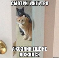 смотри, уже утро а хозяин ещё не ложился