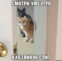 смотри, уже утро а хозяин не спит