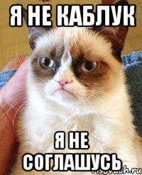 я не каблук я не соглашусь