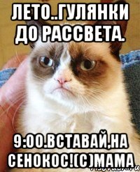 лето..гулянки до рассвета. 9:00.вставай,на сенокос!(с)мама