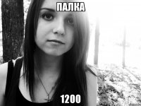 палка 1200