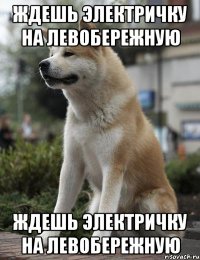 ждешь электричку на левобережную ждешь электричку на левобережную