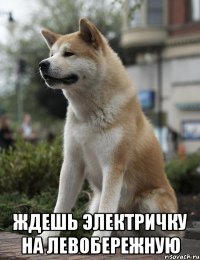  ждешь электричку на левобережную
