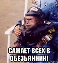  сажает всех в обезьянник!
