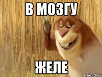 в мозгу желе