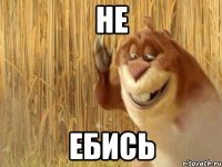не ебись