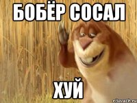 бобёр сосал хуй