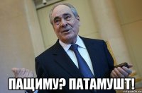  пащиму? патамушт!