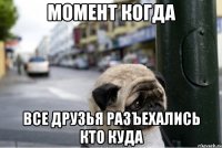 момент когда все друзья разъехались кто куда