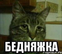  бедняжка