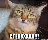  степухааа!!!