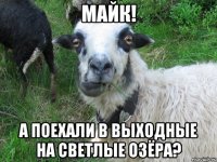 майк! а поехали в выходные на светлые озёра?