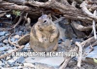 я жирная?!не несите чушь!