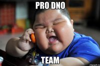 pro dno team
