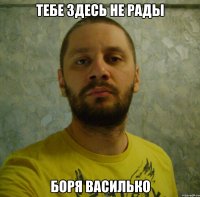тебе здесь не рады боря василько