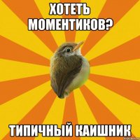 хотеть моментиков? типичный каишник