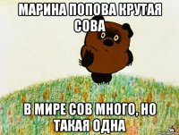 марина попова крутая сова в мире сов много, но такая одна
