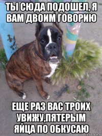 ты сюда подошел, я вам двоим говорию еще раз вас троих увижу,пятерым яйца по обкусаю
