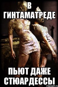 в гинтаматреде пьют даже стюардессы
