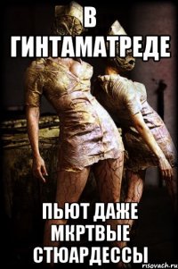 в гинтаматреде пьют даже мкртвые стюардессы