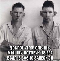 доброе утро! слышь, мышку, которую вчера взял, в 306-ю занеси :)))