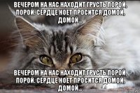 вечером на нас находит грусть порой, порой. сердце ноет просится домой, домой... вечером на нас находит грусть порой, порой. сердце ноет просится домой, домой...