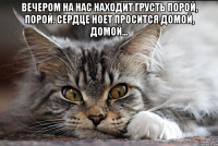 вечером на нас находит грусть порой, порой. сердце ноет просится домой, домой... 