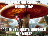 иван, как мне снова это понимать? почему ты опять упоролся без меня?