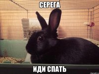 серега иди спать