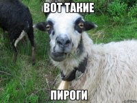 вот такие пироги