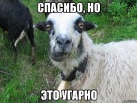 спасибо, но это угарно