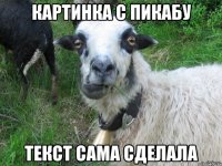 картинка с пикабу текст сама сделала