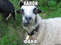 какой фанф