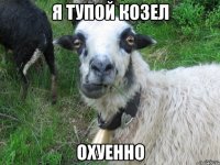я тупой козел охуенно