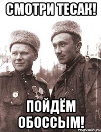 смотри тесак! пойдём обоссым!