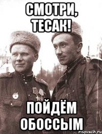смотри, тесак! пойдём обоссым