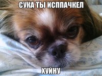 сука ты исппачкел хуйну