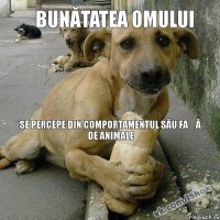 se percepe din comportamentul său față de animale bunătatea omului