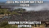 здесь мы видим как стадо глоров баварии перемещается в дортмунд