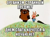 организм странный предмет днем спать хочется, а ночью нет