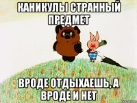 каникулы странный предмет вроде отдыхаешь, а вроде и нет