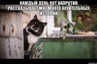 каждый день кот напротив рассказывает мне много ахуительных историй 