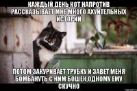 каждый день кот напротив рассказывает мне много ахуительных историй потом закуривает трубку и завет меня бомбануть с ним бошек,одному ему скучно